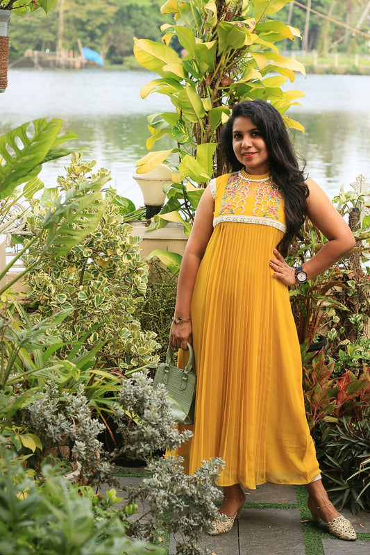 Honey Aura Pleated Dress